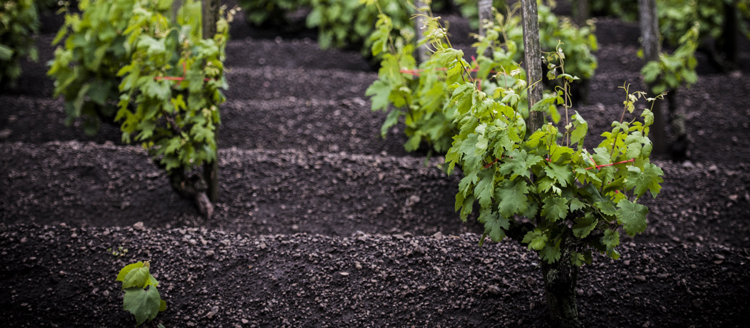 govolcanic - vulkanikus borok webshopja