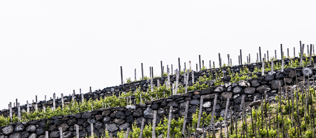 govolcanic - vulkanikus borok webshopja