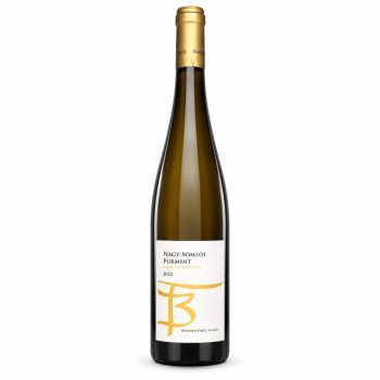 Barnabás Pince Furmint 2022