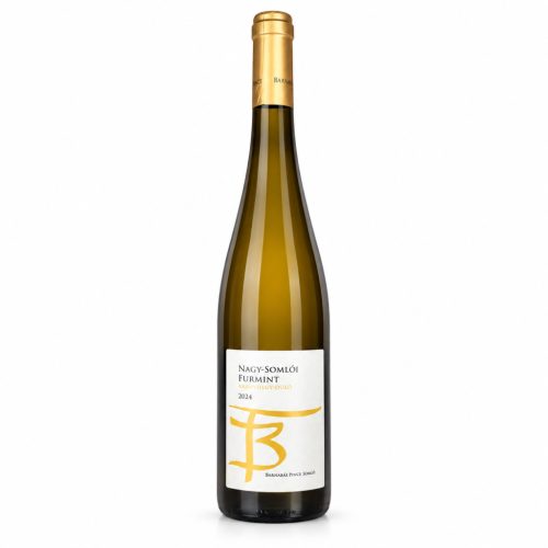 Barnabás Pince Furmint 2024