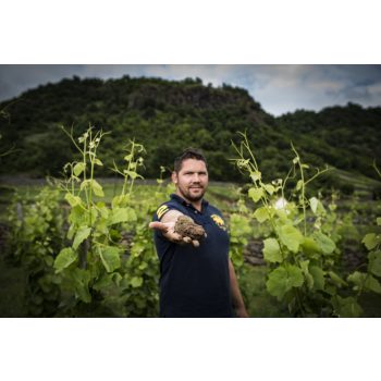 Somlói Vándor Pince