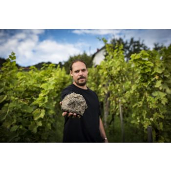 Somlói Apátsági Pince