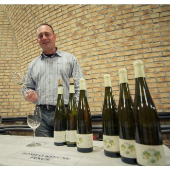 Somló Kincse Kézműves Kispince