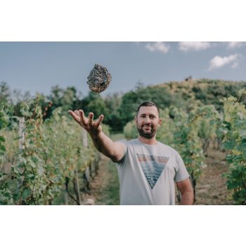 Weingartner 5 Ház Borbirtok